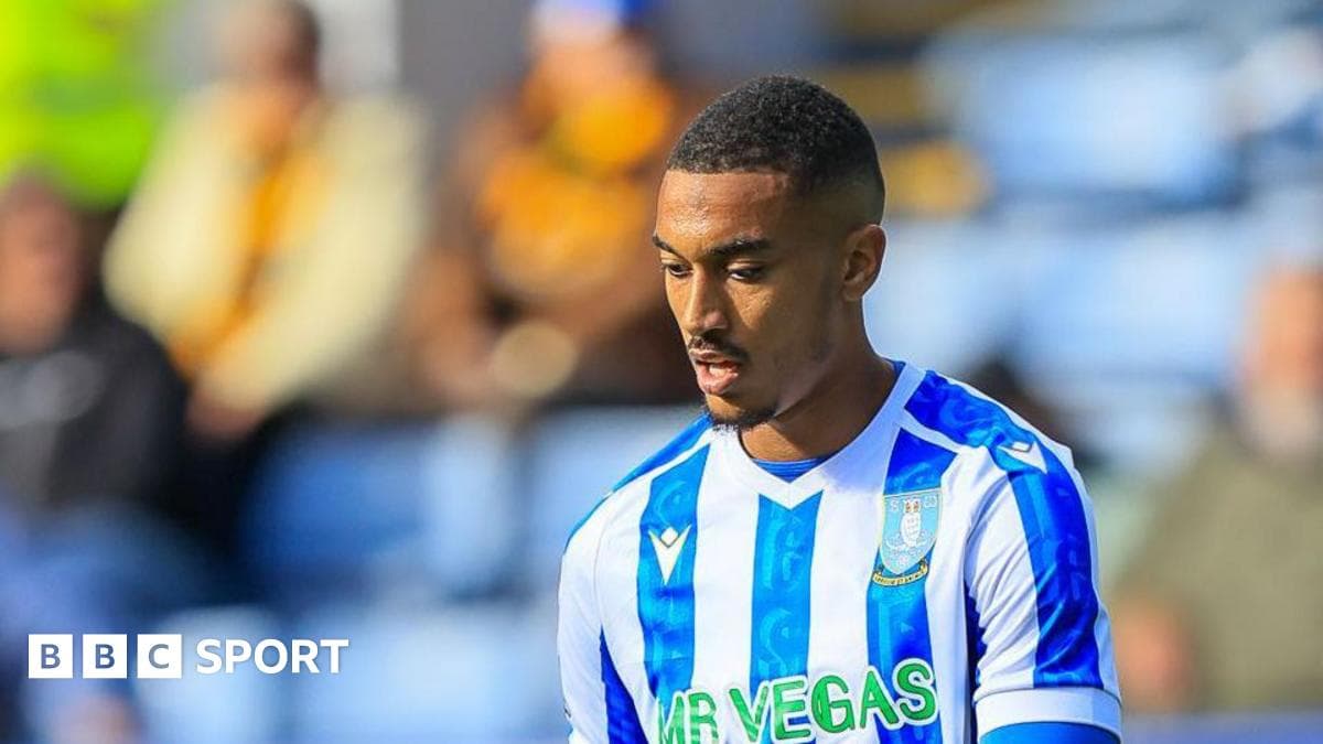 Sheff Wed right-back Valery joins Young Boys