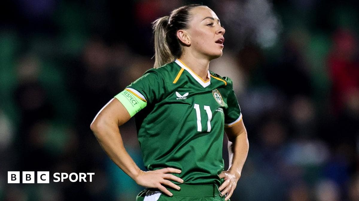 Republic of Ireland loss to France 'stings' - McCabe